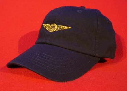 Navy Air Crew wings
