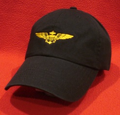 Naval Aviator wings hat